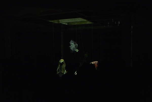 Giacomo Laser