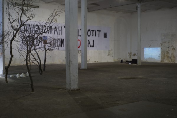 Hannes Zebedin